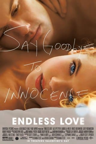 Endless Love (2014 Version) /dvd