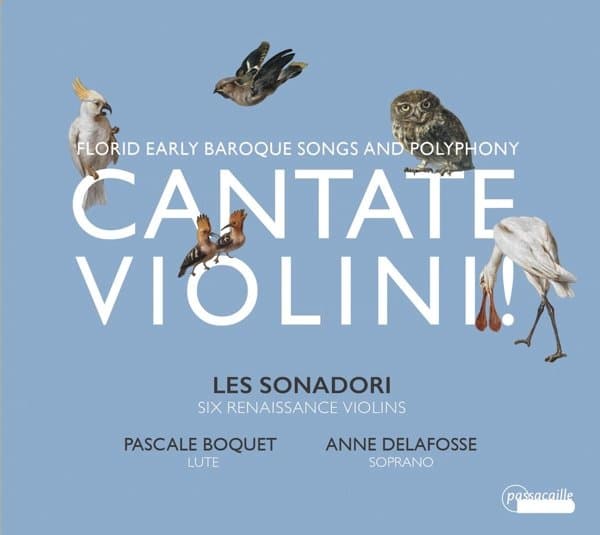 Les Sonadori, Anne Delafosse-Quentin - Cantate Violini! - Florid Early Baroque Songs And Polyphony (CD)