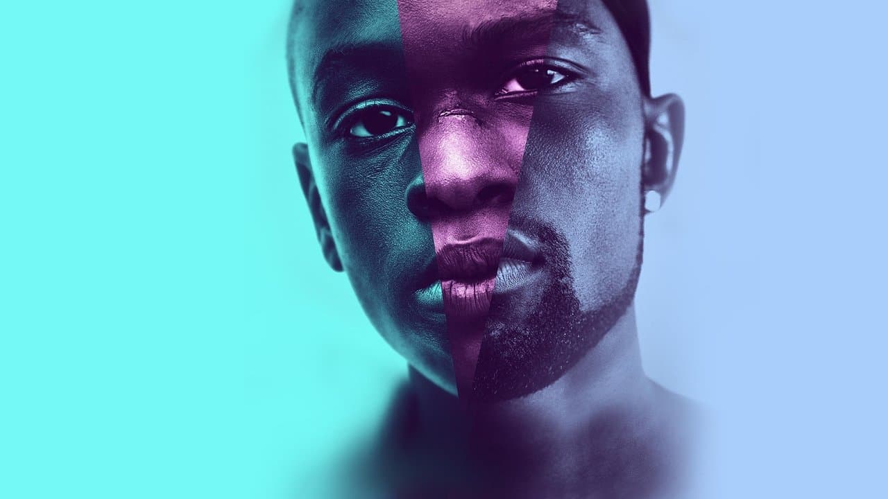 Moonlight (French Version) (Blu-ray) (Geen Nederlandse ondertiteling) (Import)