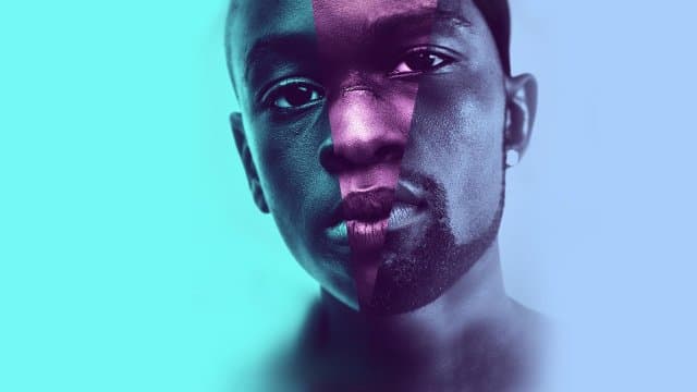Moonlight (French Version) (Blu-ray) (Geen Nederlandse ondertiteling) (Import)