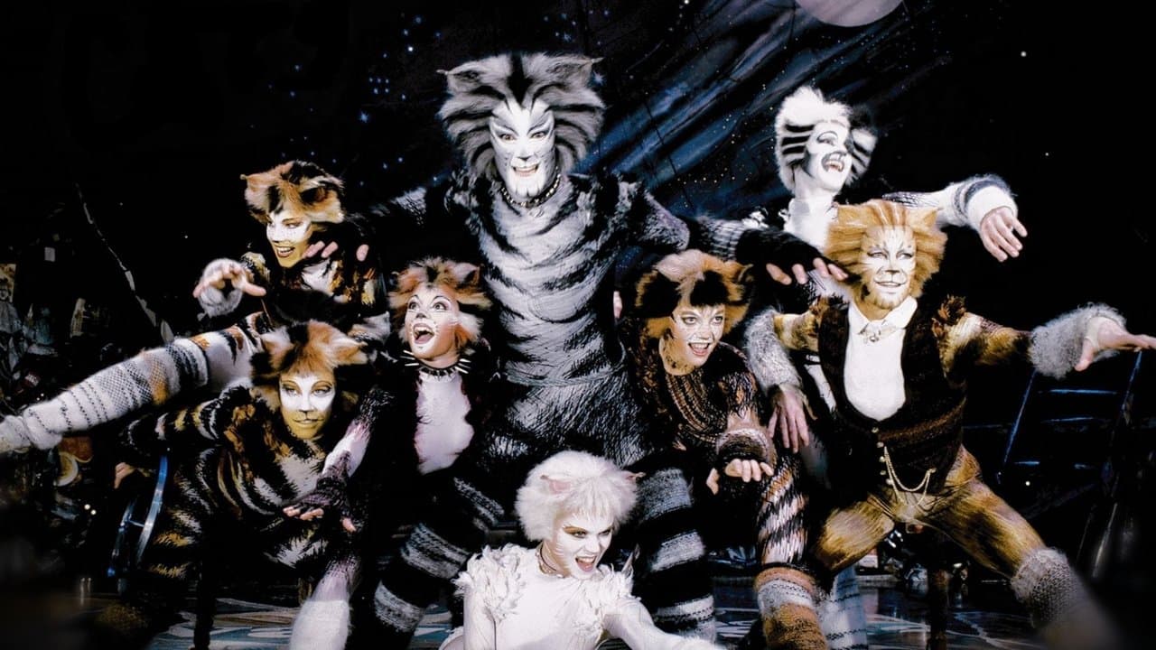 Cats (Import)