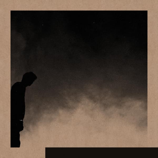 David Allred - Felt The Transition (LP) (Limited Edition)