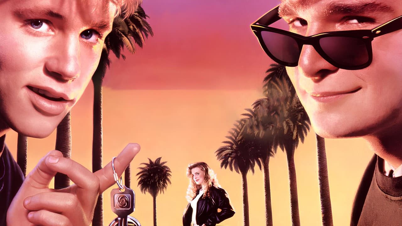 License To Drive (Import)