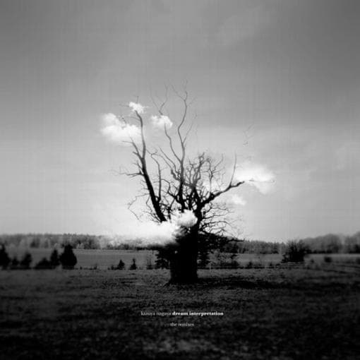 Kazuya Nagaya - Dream Interpretation (The Remixes) (3 LP) (Coloured Vinyl)
