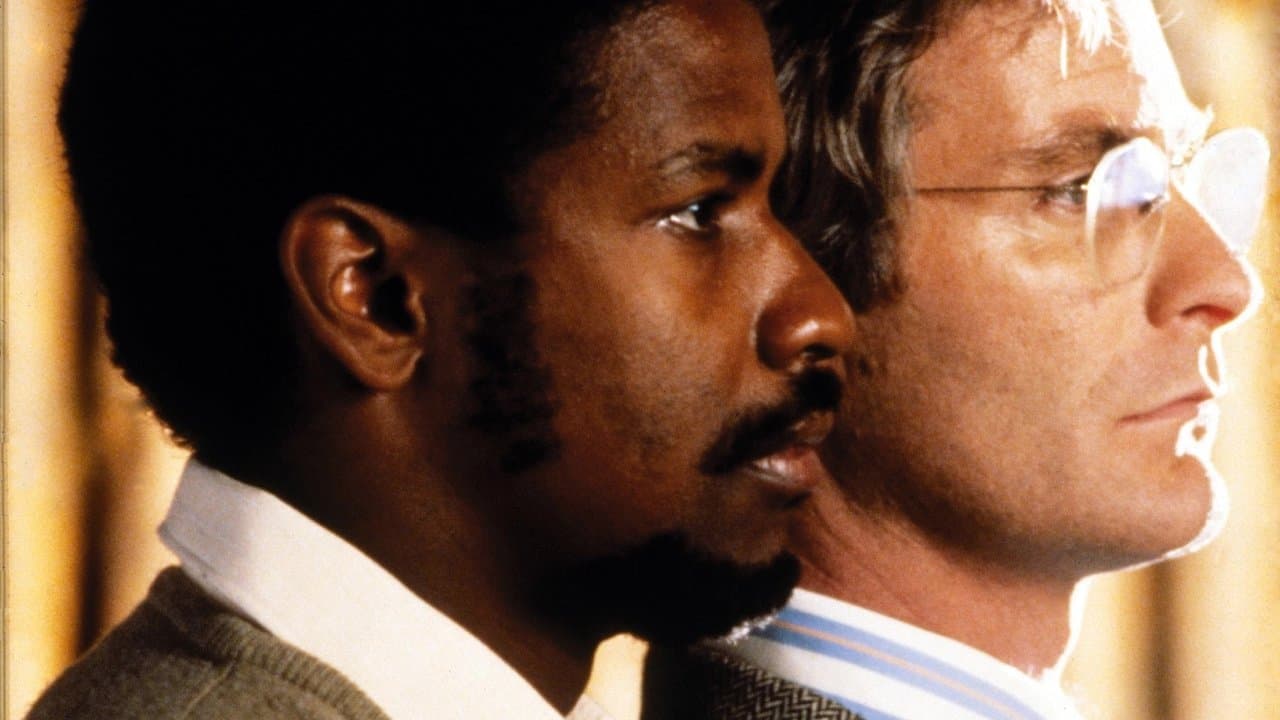 Cry Freedom (Import)
