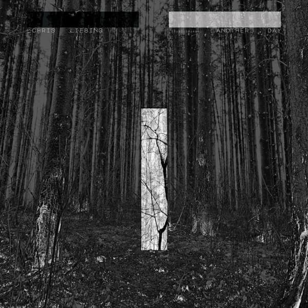 Chris Liebing - Another Day (CD)