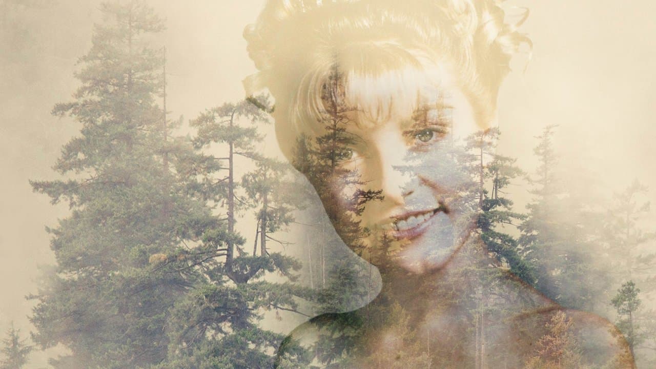 Twin peaks - Seizoen 2 (DVD)