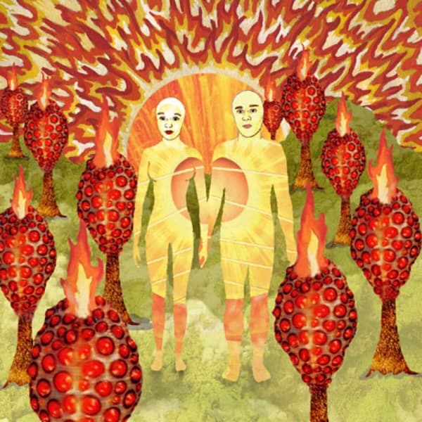 Of Montreal - The Sunlandic Twins (2 LP) (Coloured Vinyl)
