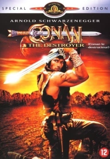 Conan The destroyer (DVD)