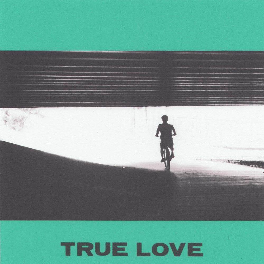Hovvdy - True Love (LP)