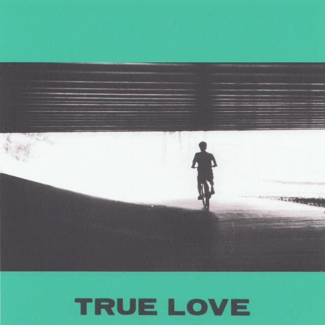 Hovvdy - True Love (LP)