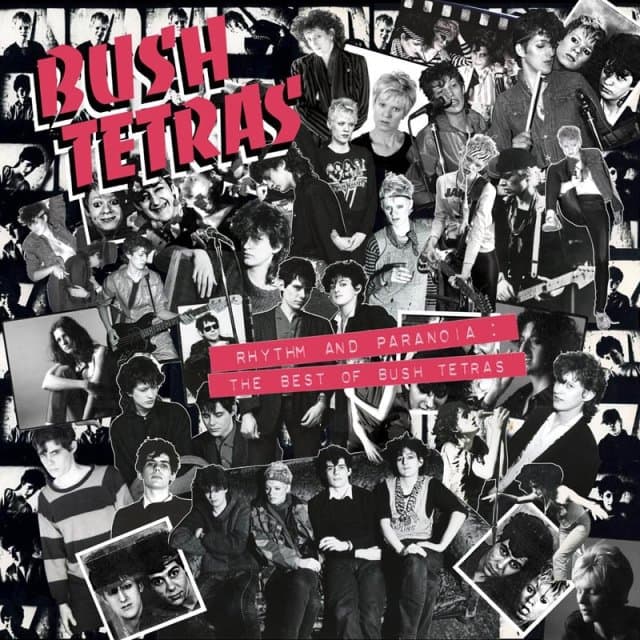 Bush Tetras - Rhythm And Paranoia: The Best Of Bush Tetras (2 CD) (Remastered)