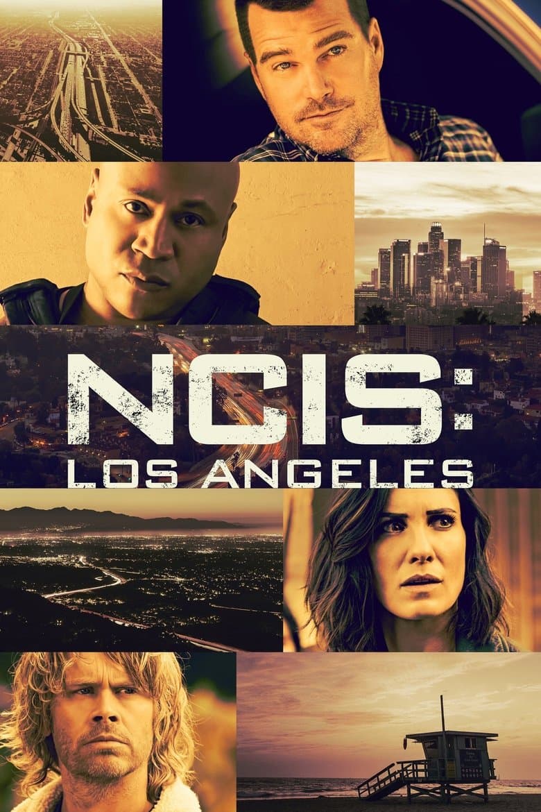 NCIS: Los Angeles - Season 12 (Import)