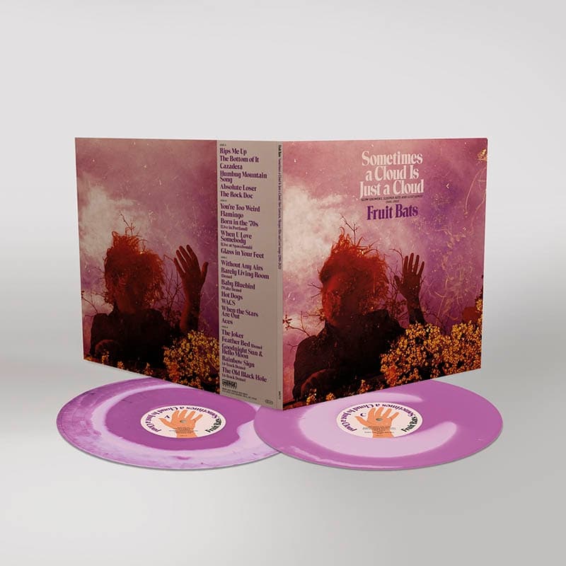 Fruit Bats - Sometimes A Cloud Is Just A Cloud: Slow Growers, Sleeper Hits, And Lost Songs (2001-2021) (2 LP) (Coloured Vinyl) (Deluxe Edition)