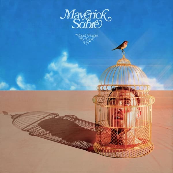 Maverick Sabre - Don't Forget To Look Up (2 LP)