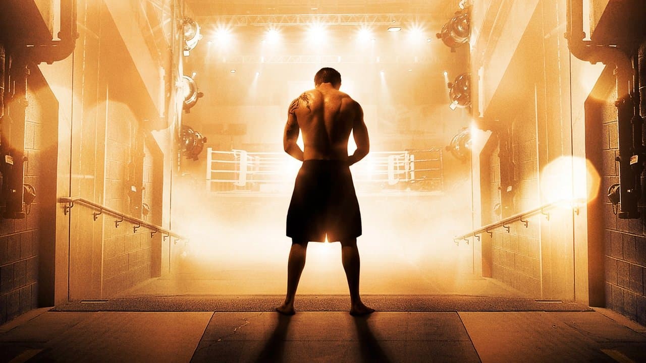 Warrior (DVD) (Limited Edition)