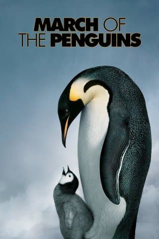 March Of The Penguins (Import)