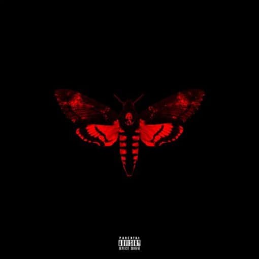 Lil Wayne - I Am Not A Human Being II