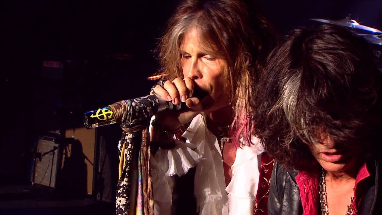 Aerosmith - Rock For The Rising Sun (DVD)