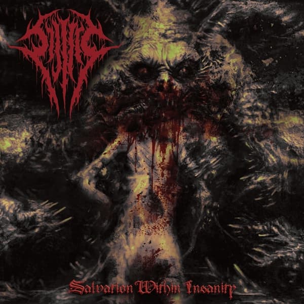 Sijjeel - Salvation Within Insanity (CD)