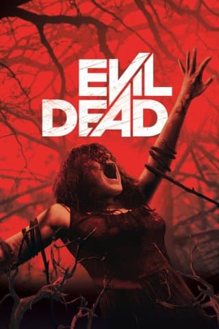 Evil Dead (2013) (4K UHD) (USA Import)