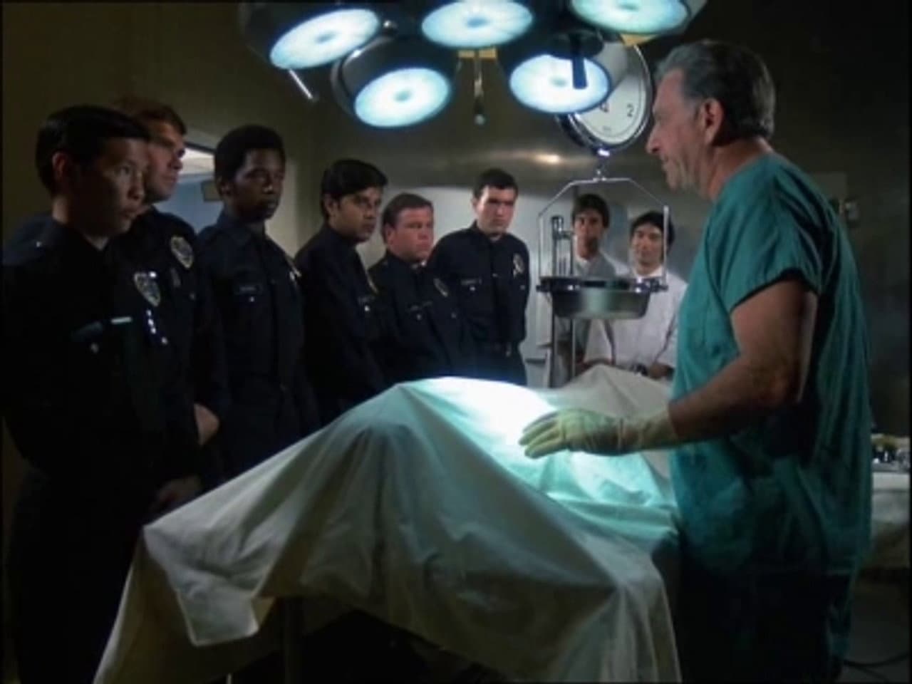 Quincy, M.E: The Complete Series (Import)