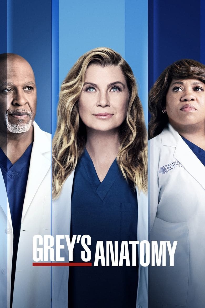 Greys Anatomy - Season 18 (Import)