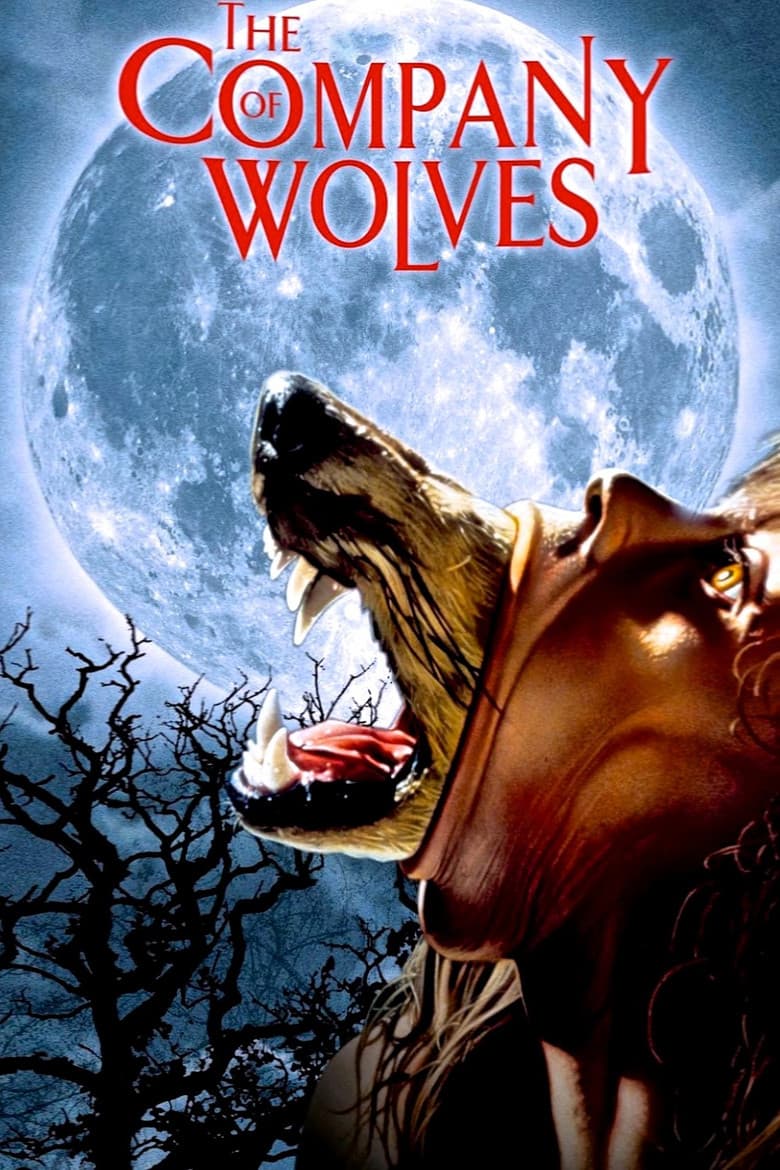 Company Of Wolves (4K UHD) (USA Import)