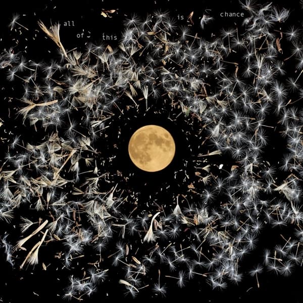Lisa O'Neill - All Of This Is Chance (CD)