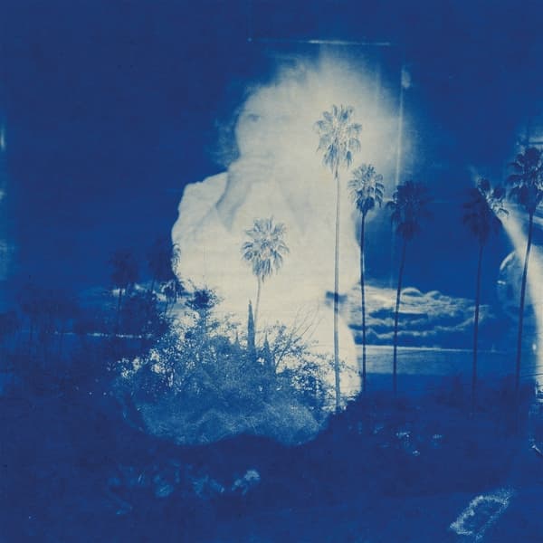 Fruit Bats - A River Running To Your Heart (LP)