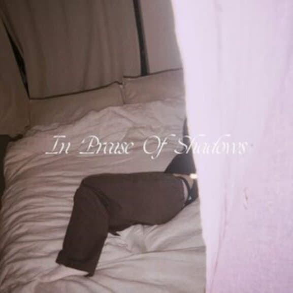 Puma Blue - In Praise Of Shadows (2 LP)