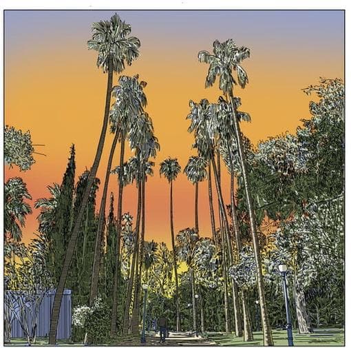 Gecko Turner - Somebody From Badajoz (LP) (Coloured Vinyl)