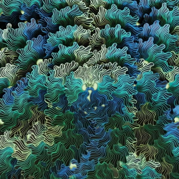 IzangoMa - Ngo Ma (CD)