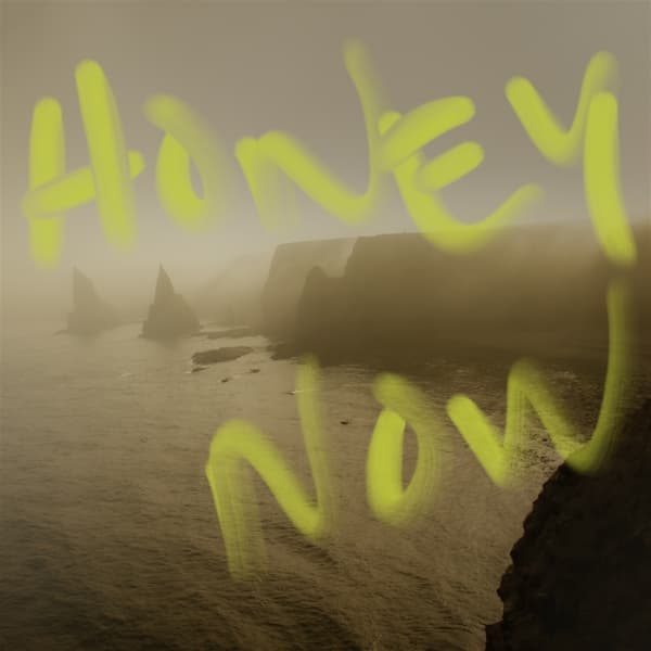 Neon Waltz - Honey Now (LP)