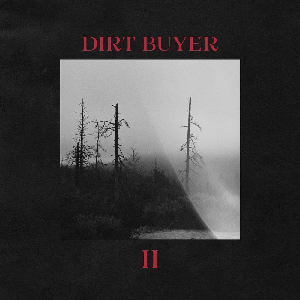 Dirt Buyer - II (LP) (Coloured Vinyl) (Limited Edition)