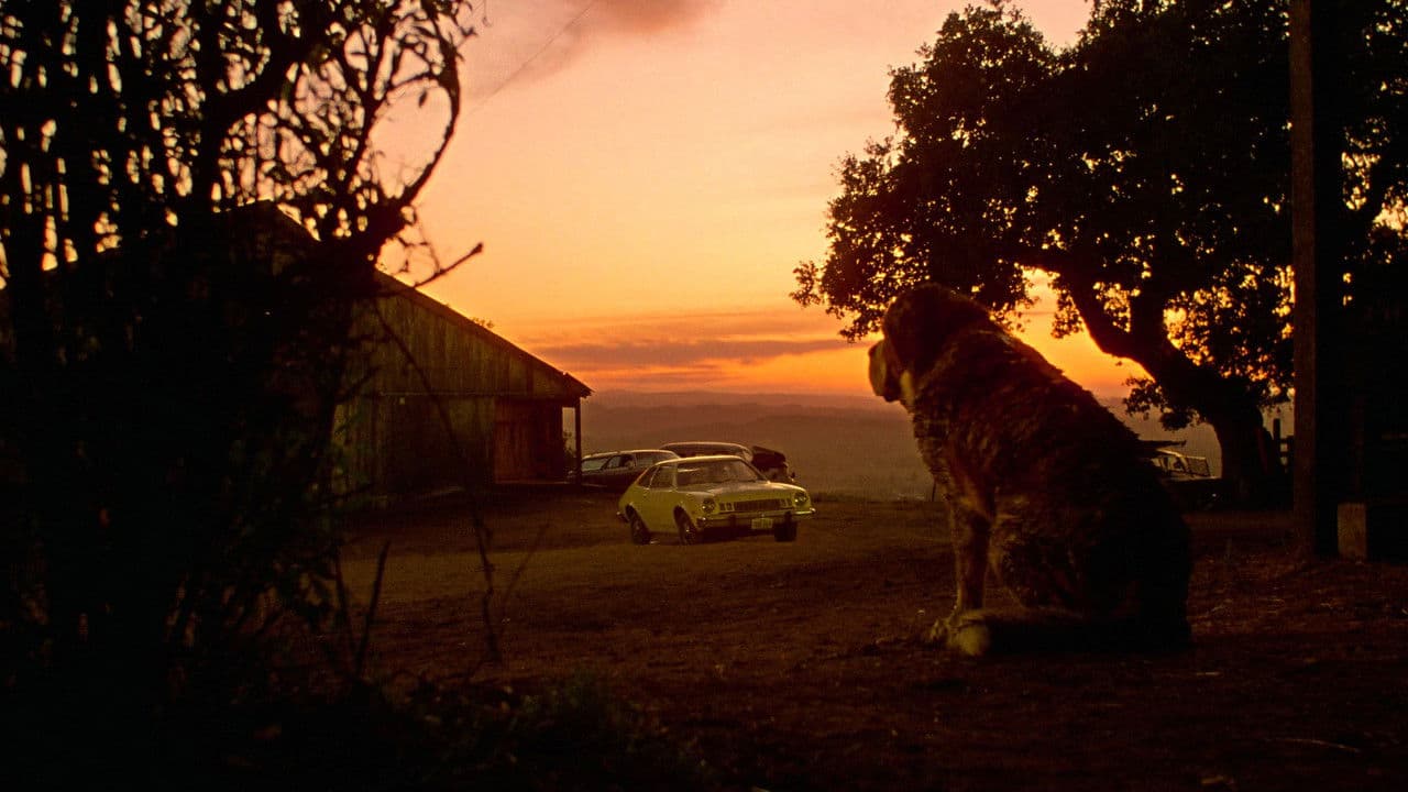 Cujo (4K UHD) (USA Import)