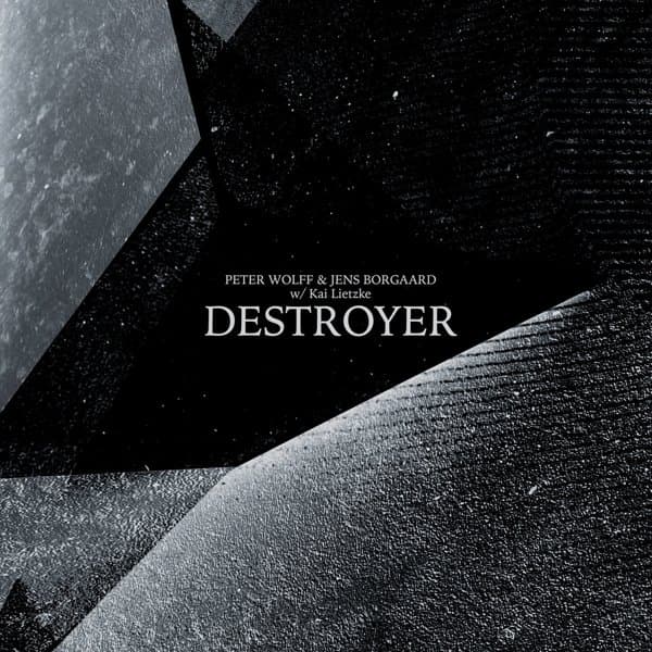 Wolff & Bogaard - Destroyer (LP)