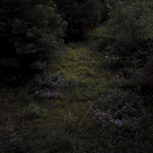 Fireworks - Higher Lonely Power (LP) (Coloured Vinyl) (Limited Edition)