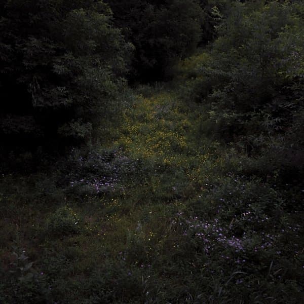 Fireworks - Higher Lonely Power (LP) (Coloured Vinyl) (Limited Edition)