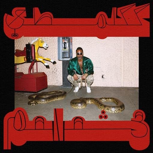 Shabazz Palaces - The Floss Vibes Of Shabazz Vol. 1: Robed In Rareness (CD)