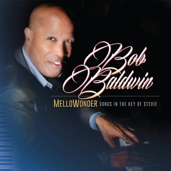 Bob Baldwin - Mellowonder- Songs In The Key Of Stevie (2 LP)