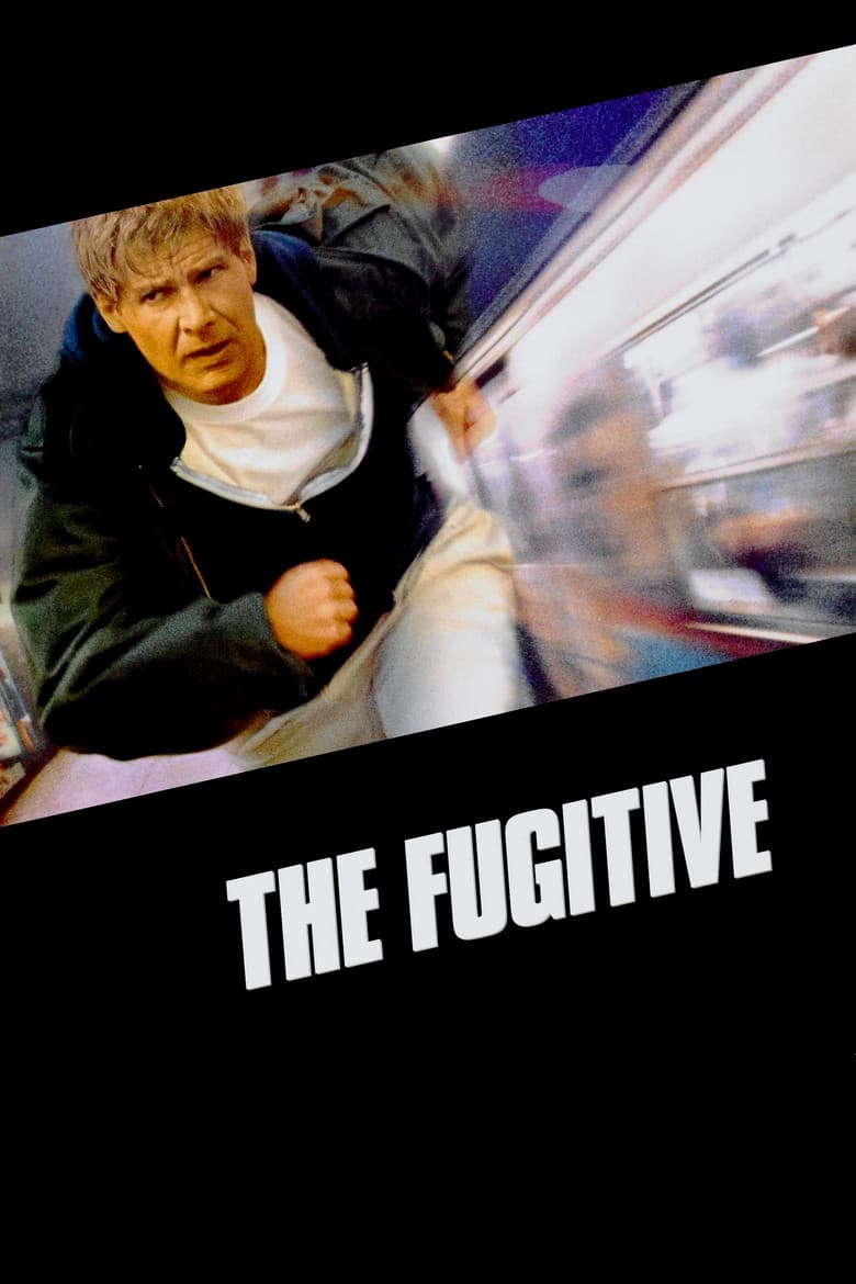 The Fugitive  (DVD)