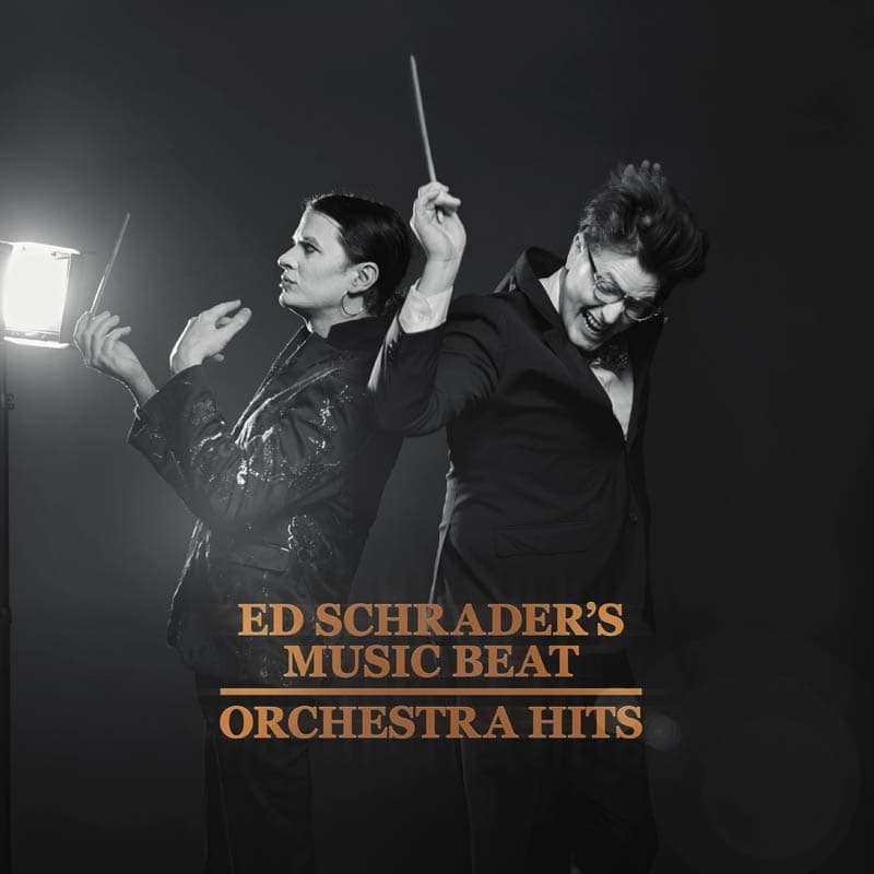 Ed Schrader's Music Beat - Orchestra Hits (LP)