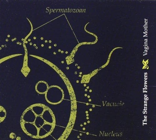 The Strange Flowers - Vagina Mother (CD)