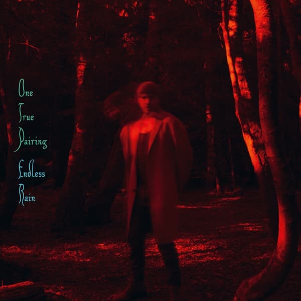 One True Pairing - Endless Rain (2 LP)