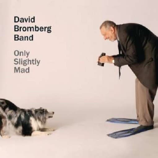 David Bromberg Band - Only Slightly Mad