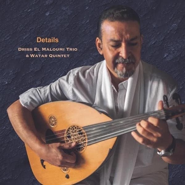 Driss El Maloumi Trio & Water Quintet - Details (CD | LP)