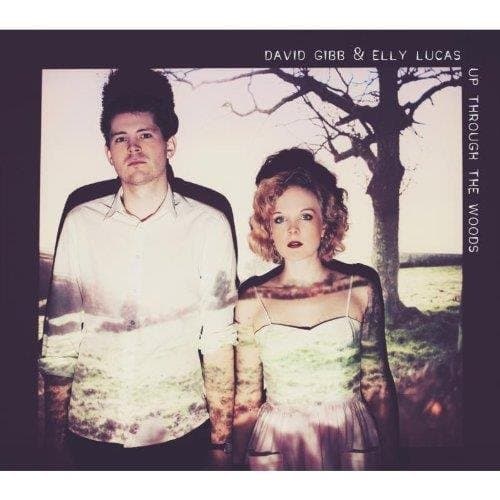 David Gibb - Up Through The Woods