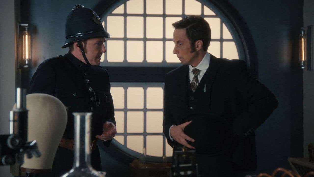 Murdoch Mysteries: Season 17 (Import)