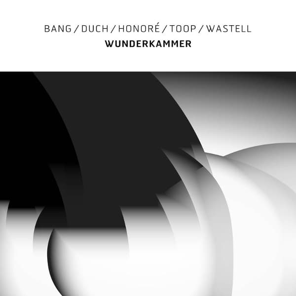 Bang, Duch, Honoré, Toop & Wastell - Wunderkammer (LP) (Coloured Vinyl)